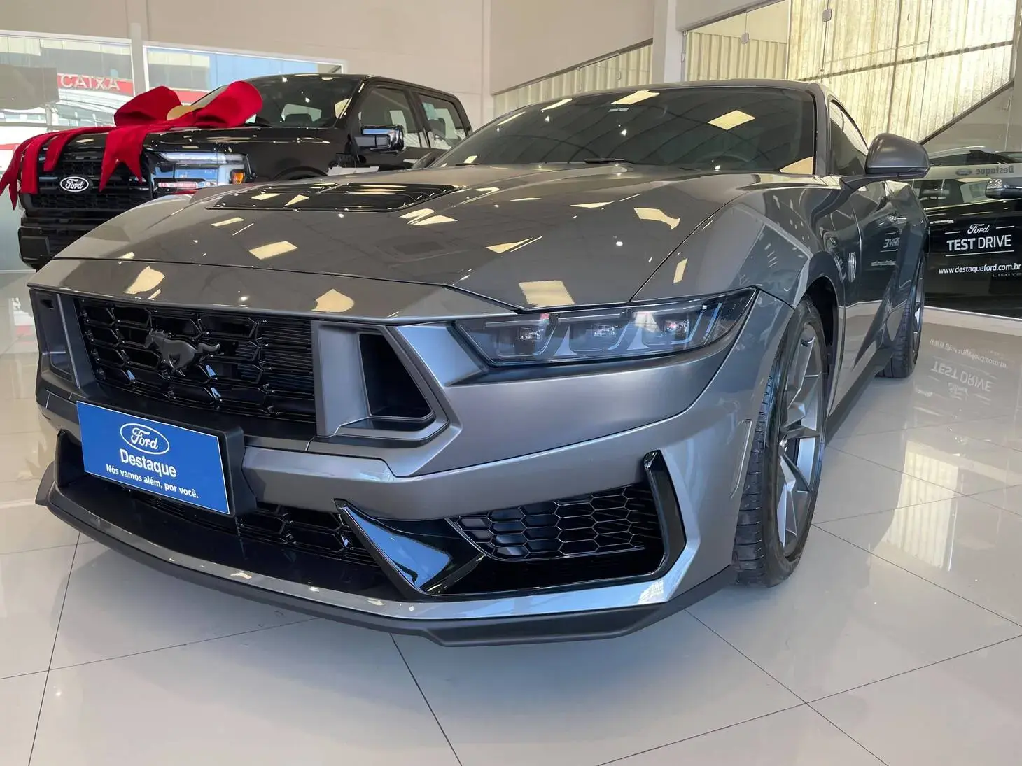 galeria MUSTANG