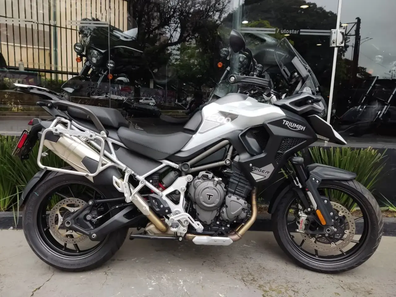 galeria Tiger 1200