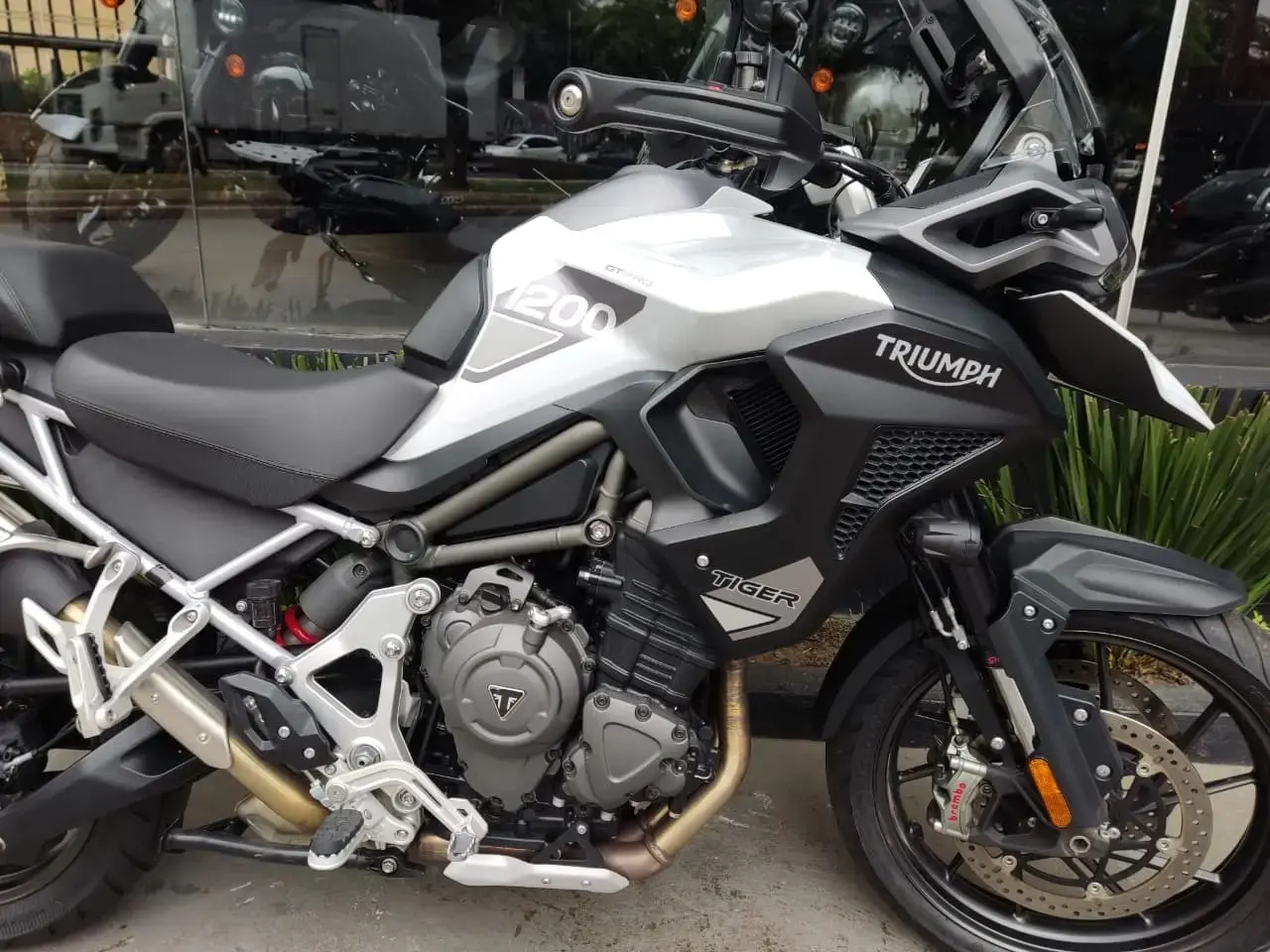 galeria Tiger 1200