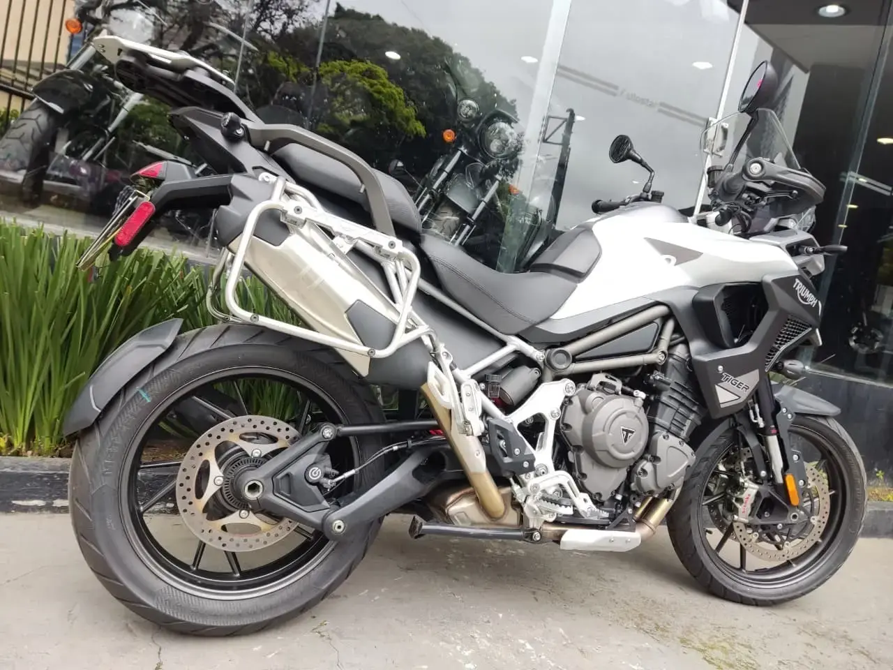 galeria Tiger 1200
