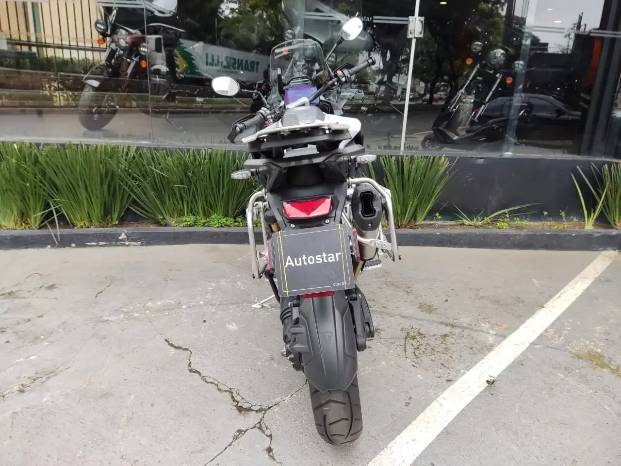 galeria Tiger 1200