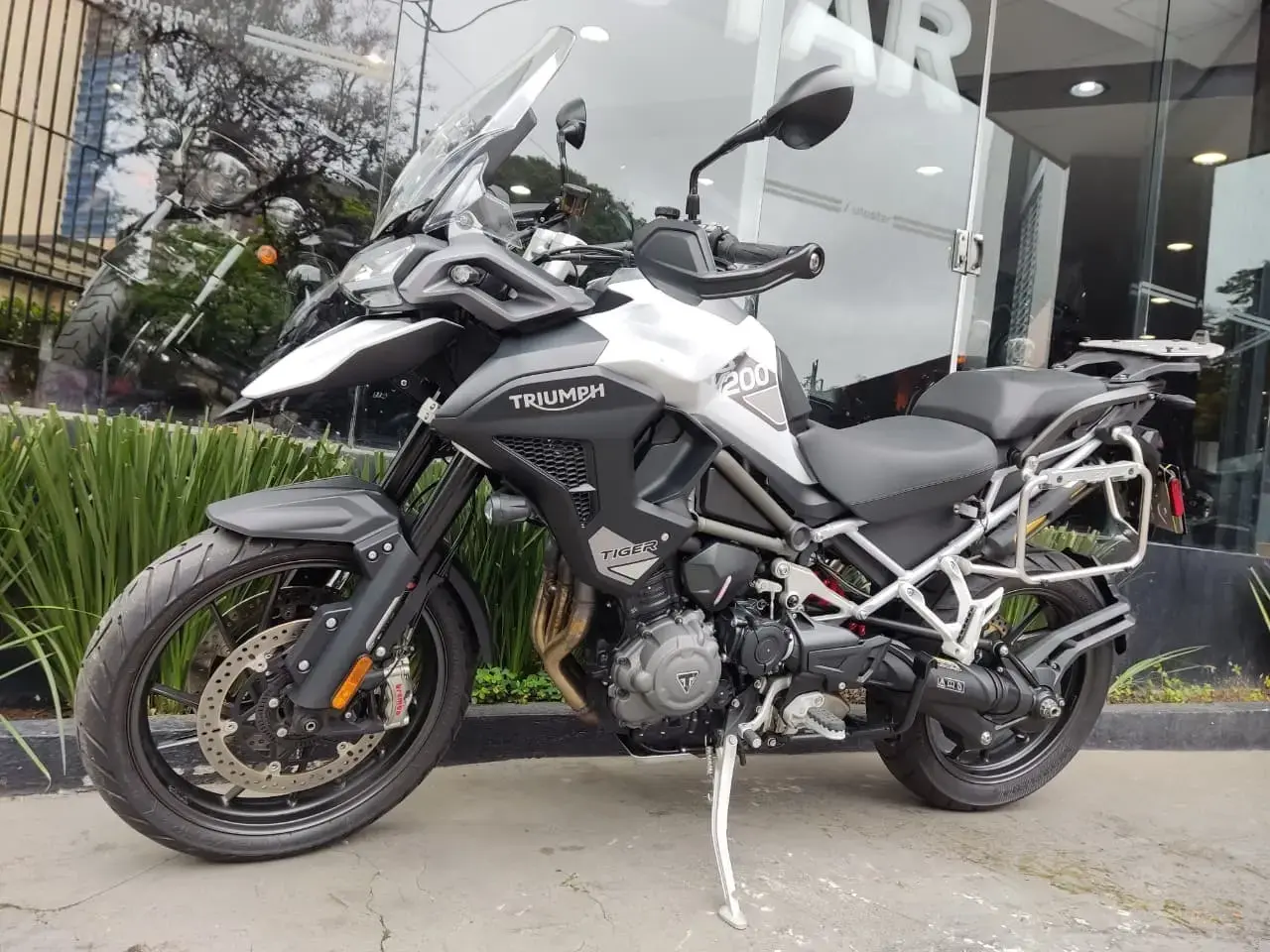 galeria Tiger 1200