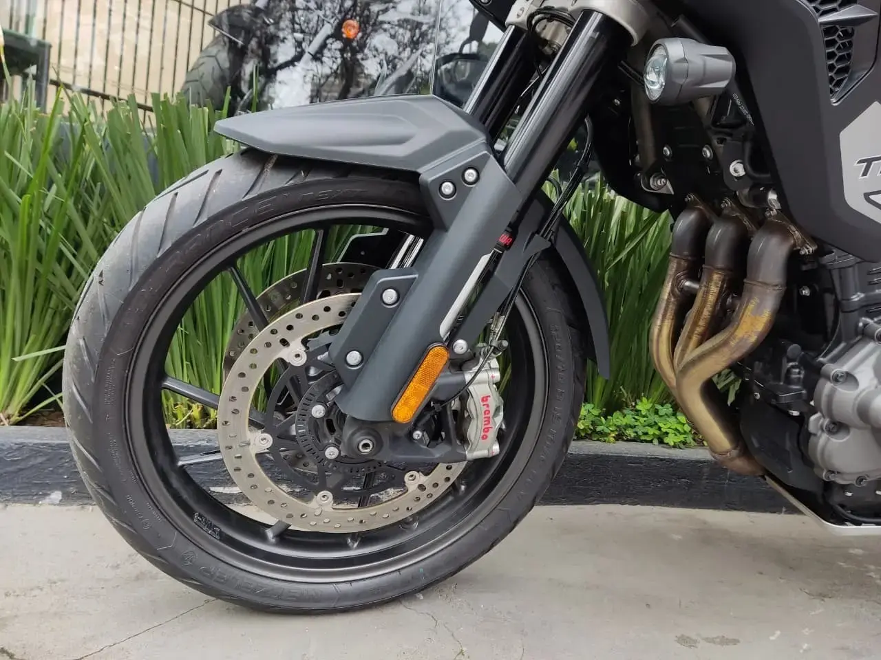 galeria Tiger 1200