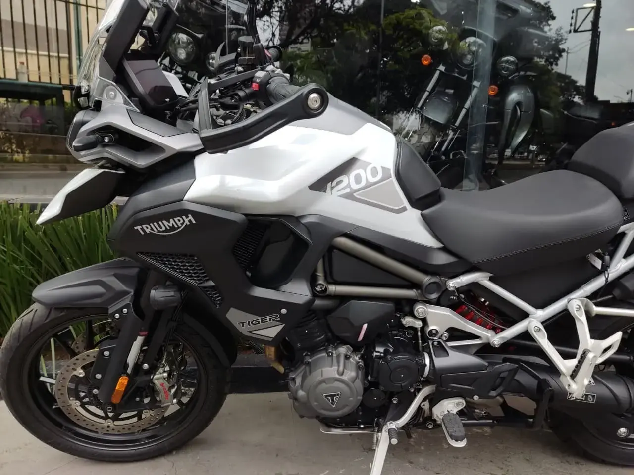 galeria Tiger 1200