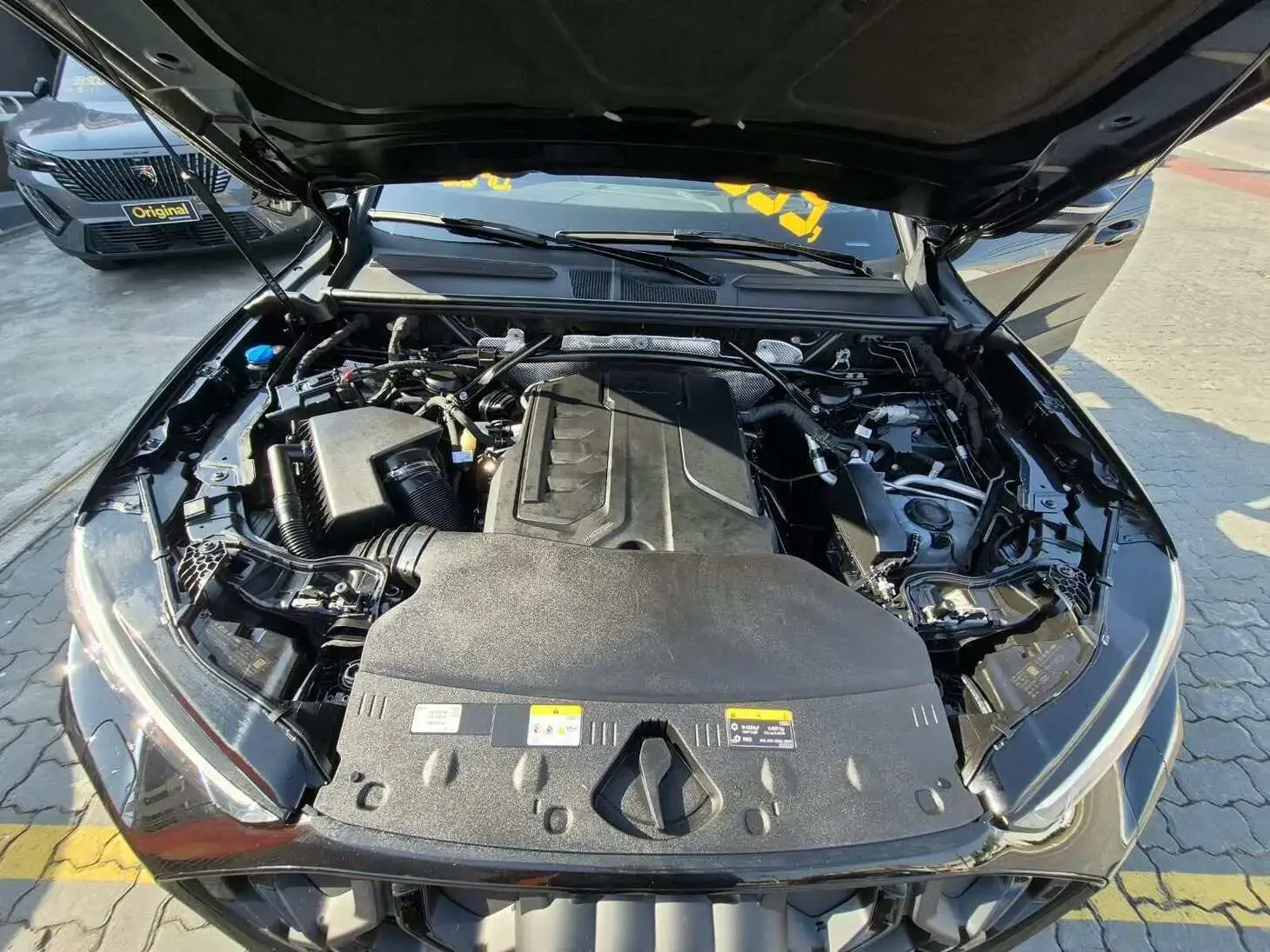 galeria Q5 Sportback