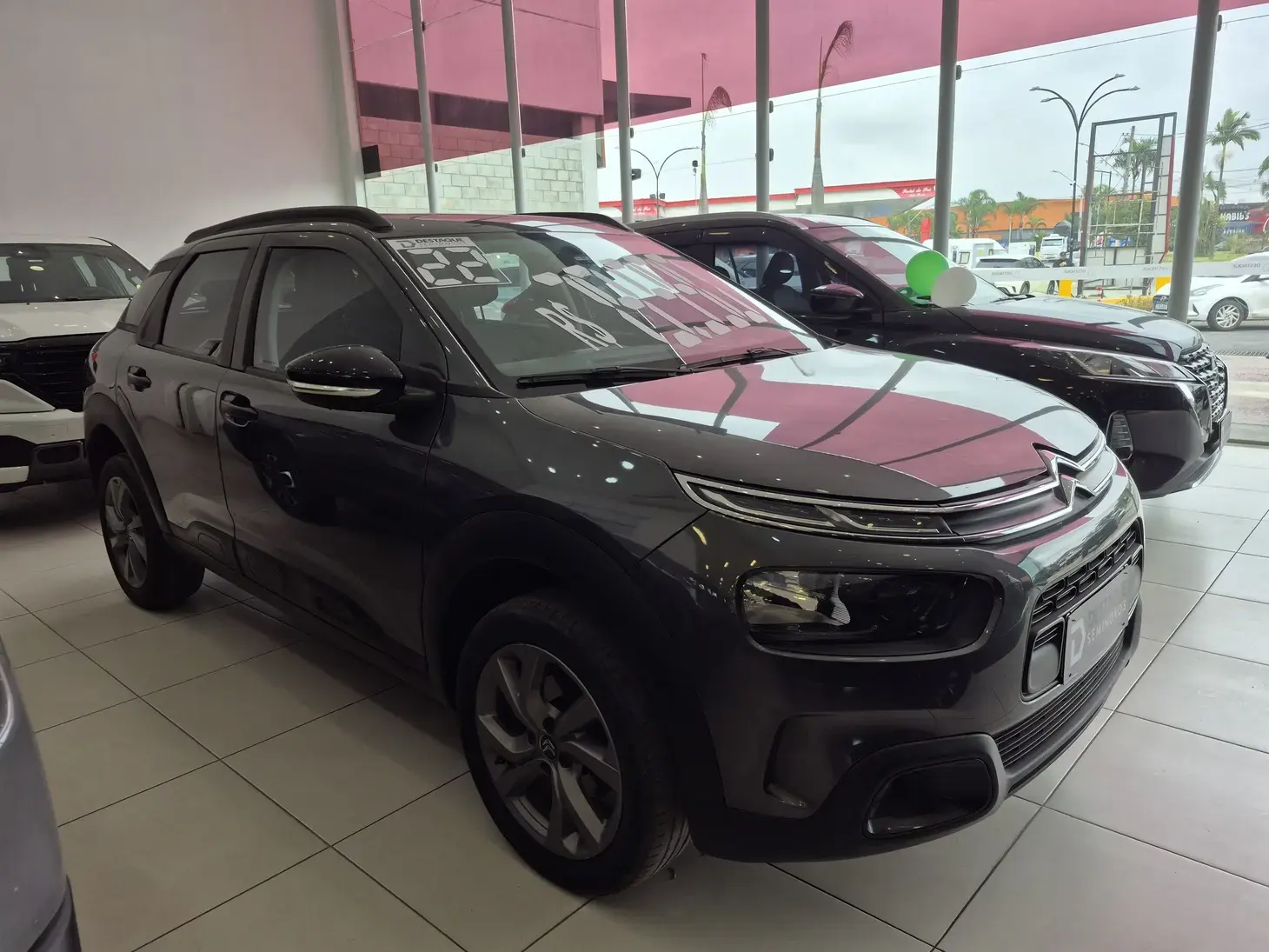 galeria C4 CACTUS