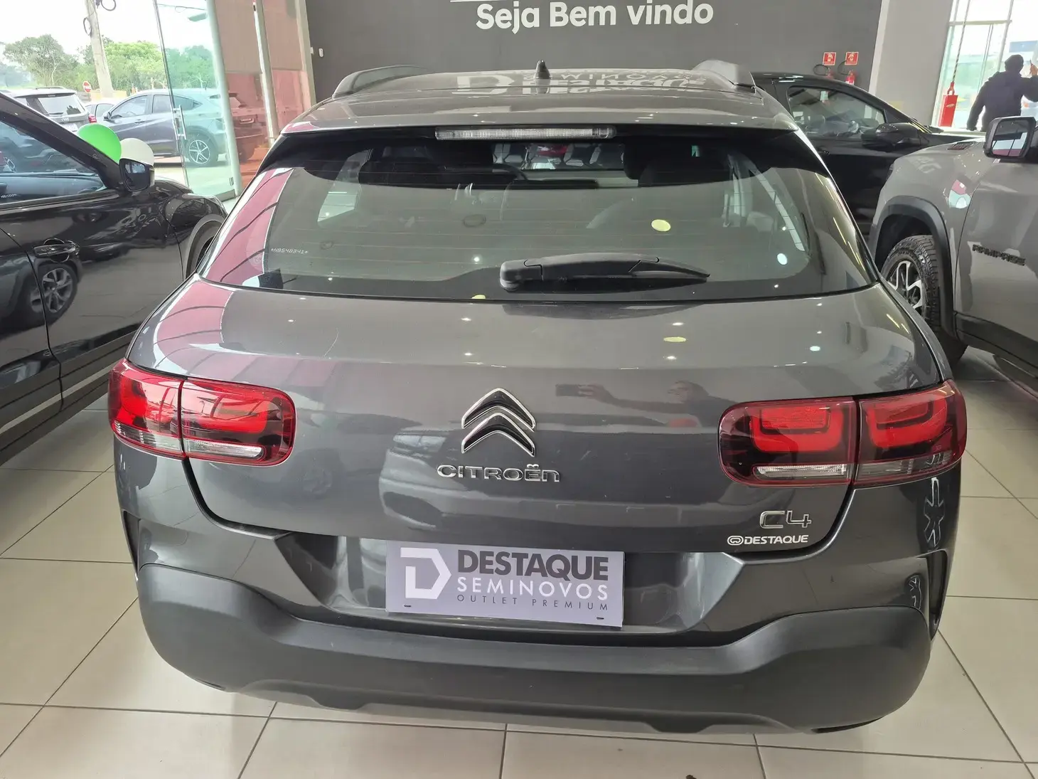 galeria C4 CACTUS
