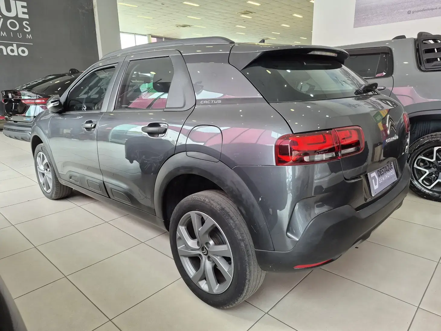 galeria C4 CACTUS