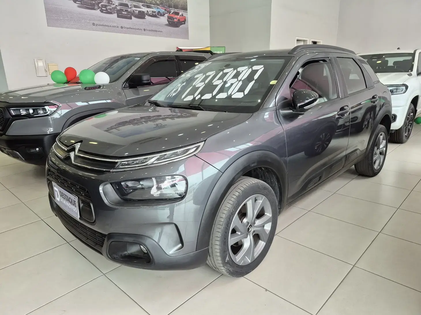 galeria C4 CACTUS