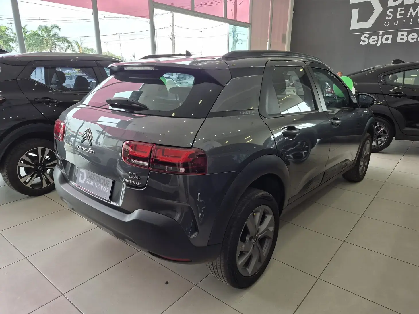 galeria C4 CACTUS