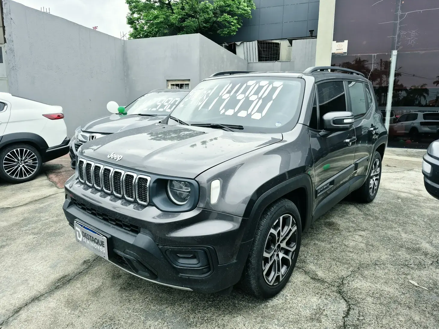 galeria RENEGADE