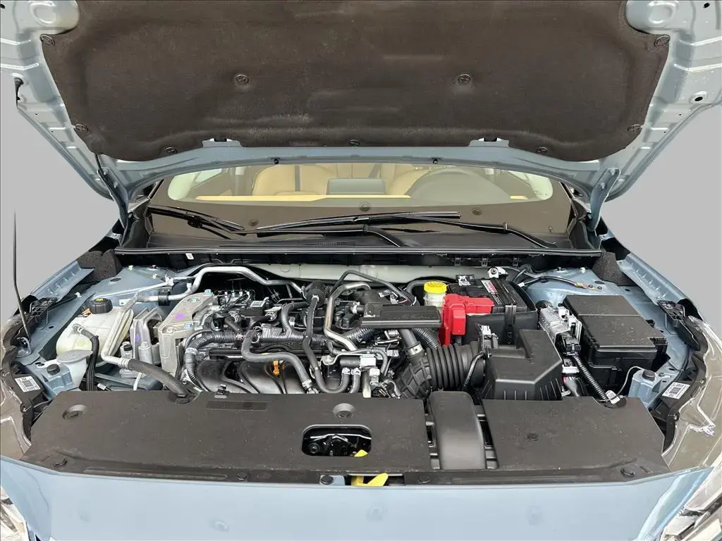 galeria SENTRA