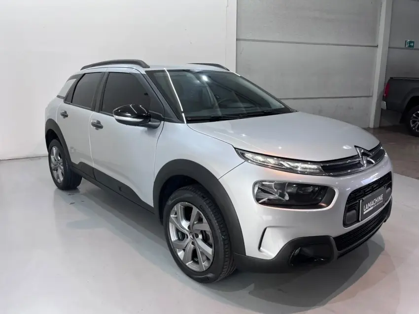 galeria C4 CACTUS