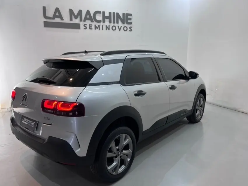 galeria C4 CACTUS