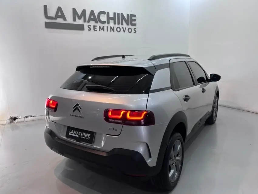 galeria C4 CACTUS
