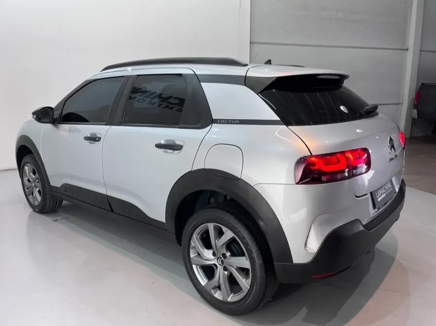 galeria C4 CACTUS