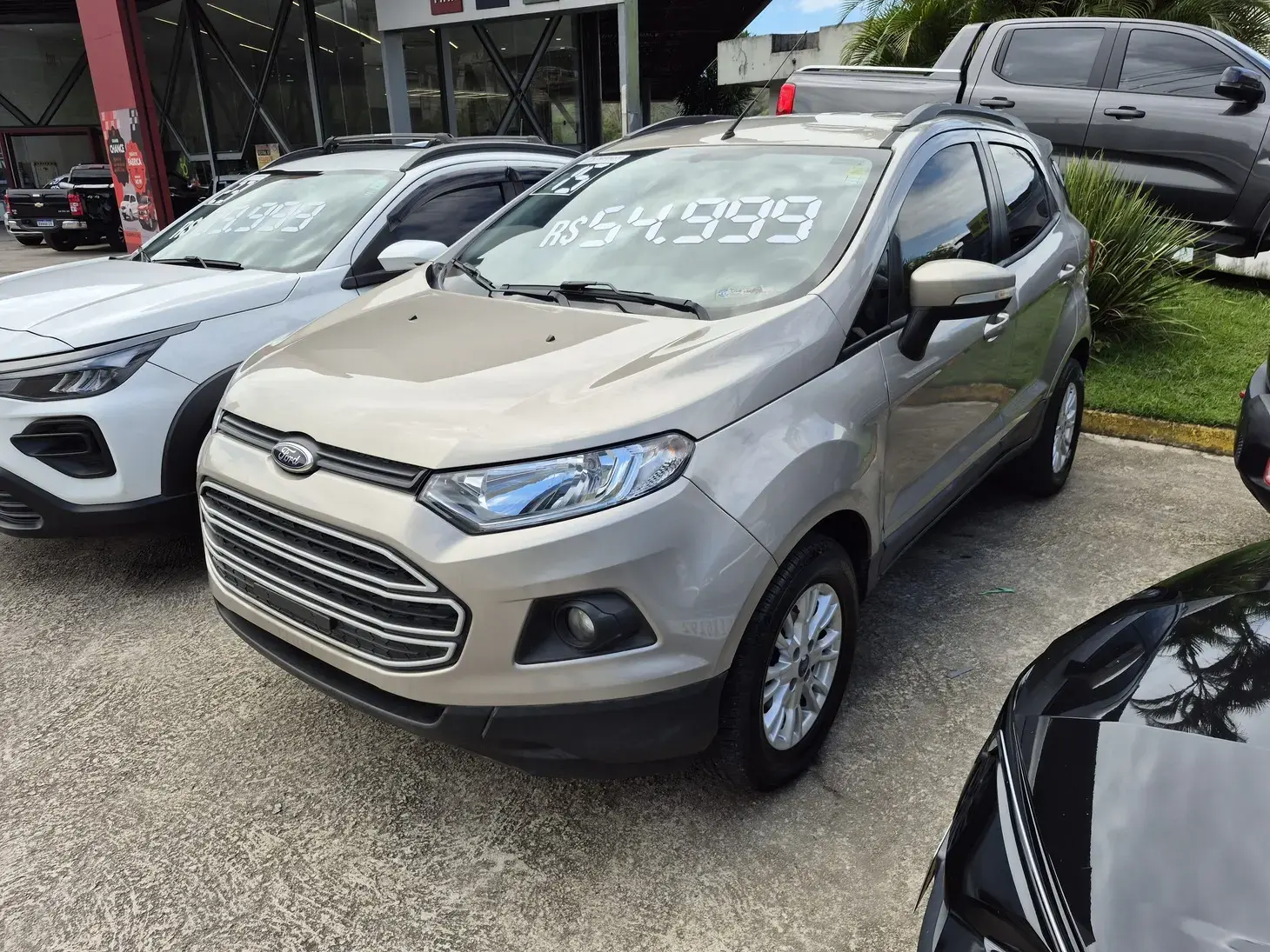 galeria ECOSPORT