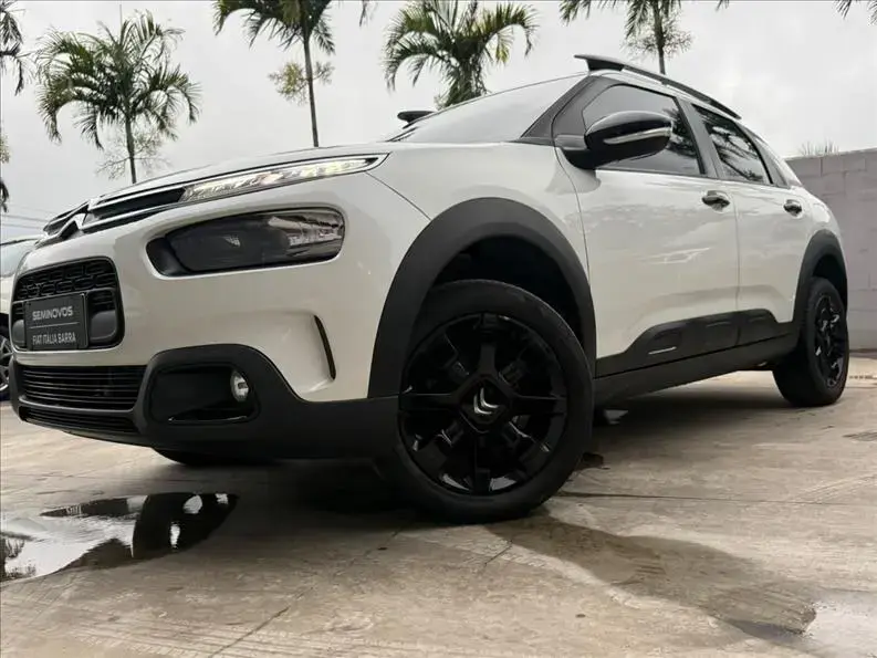 galeria C4 CACTUS