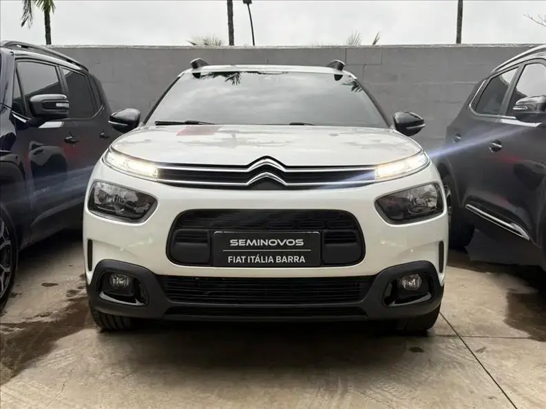 galeria C4 CACTUS