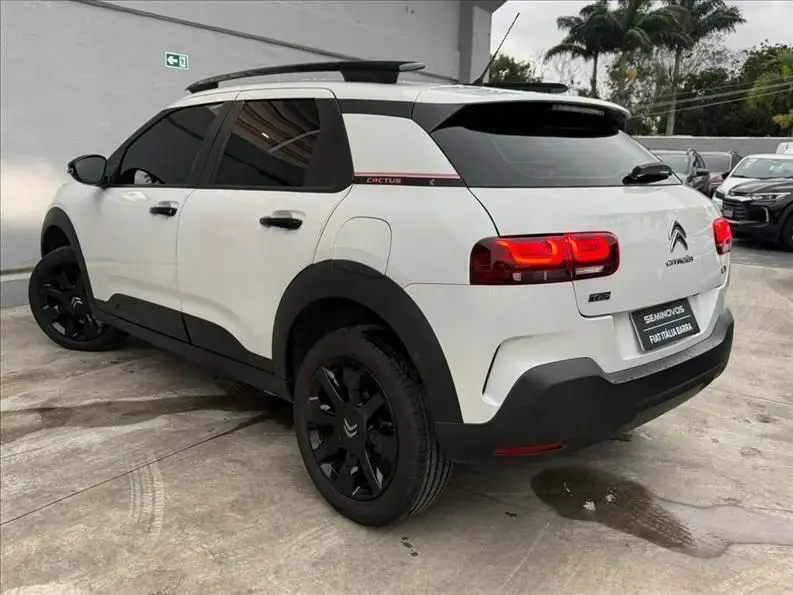 galeria C4 CACTUS