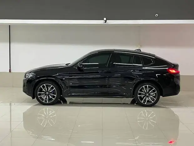 Bmw X4 xDrive30i M Sport 2.0 Turbo (Aut.)