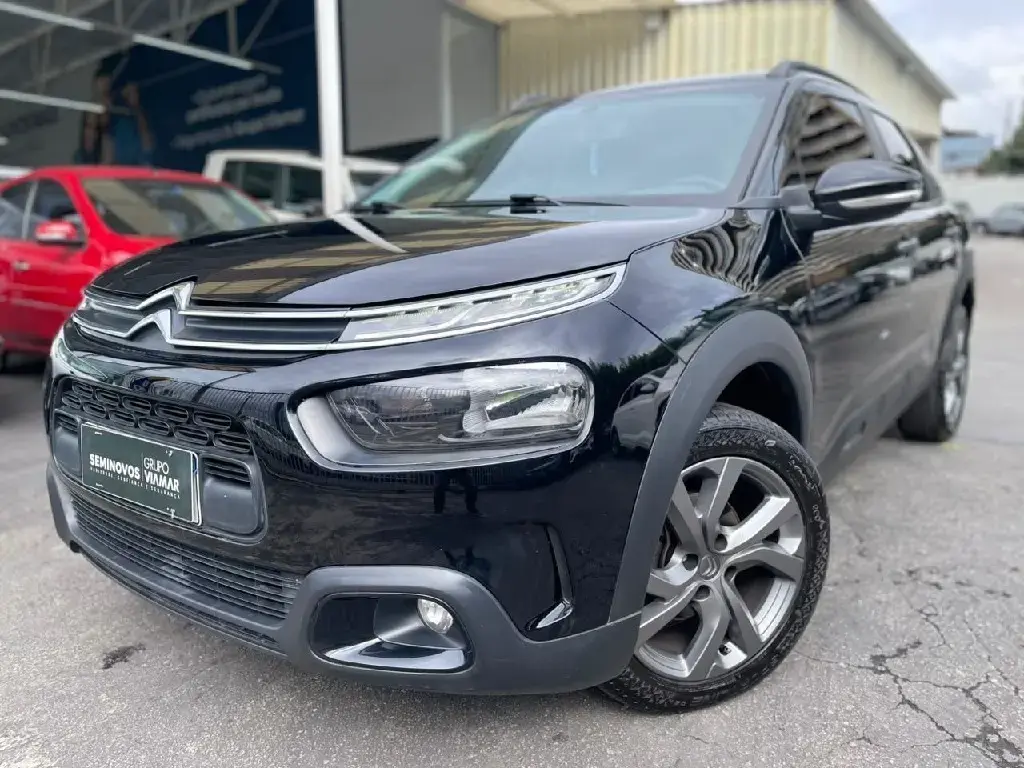 galeria C4 CACTUS
