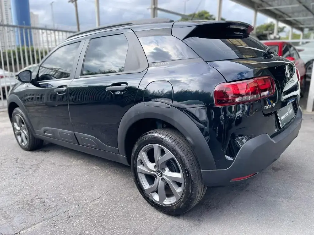 galeria C4 CACTUS
