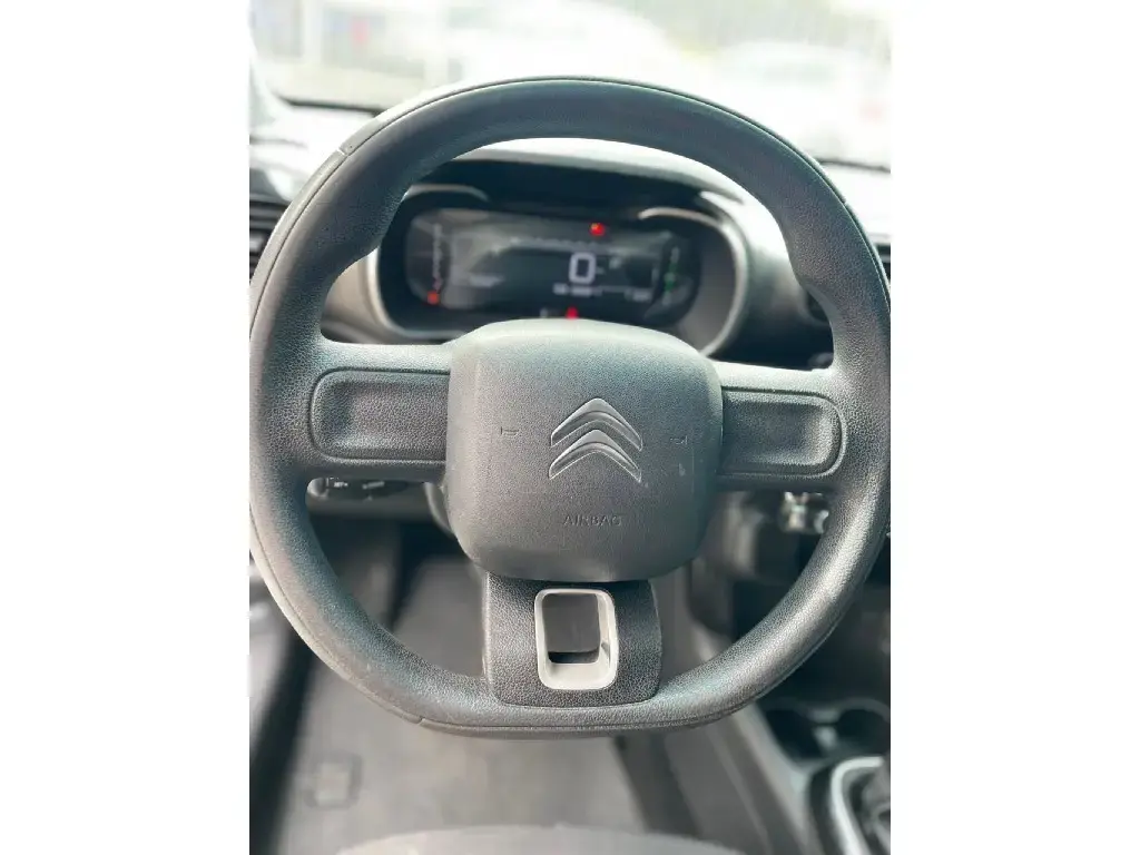 galeria C4 CACTUS