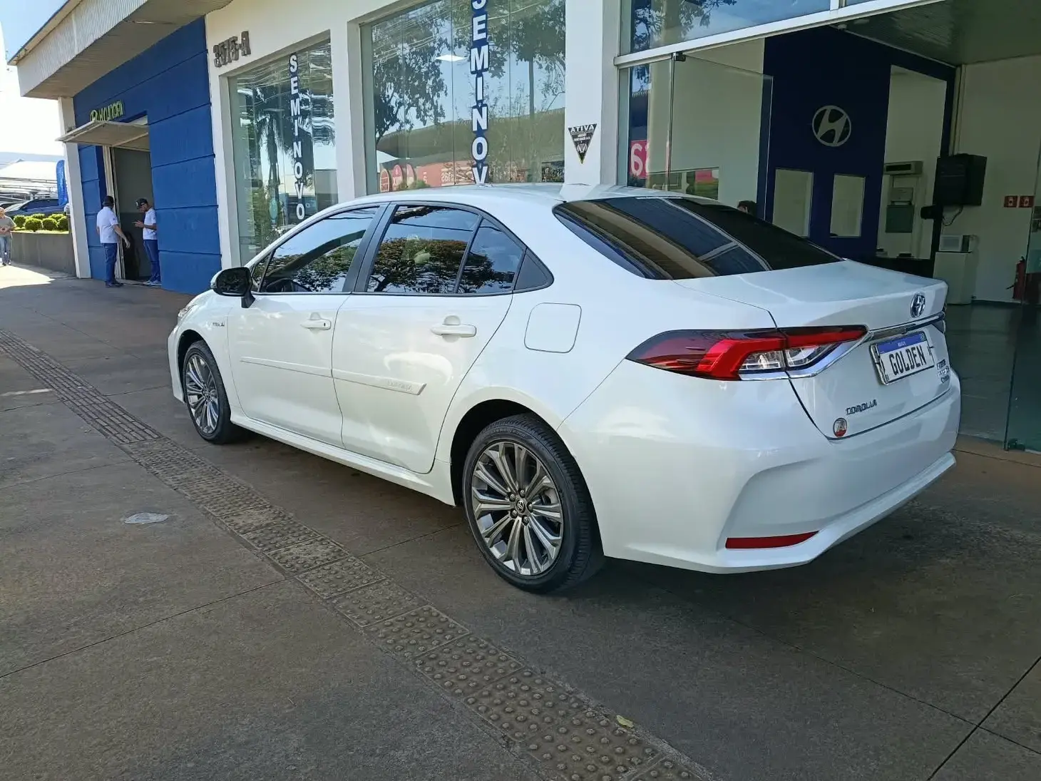 galeria COROLLA