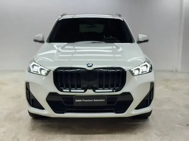 Bmw X1 sDrive20i M Sport 2.0 Turbo (Aut.)