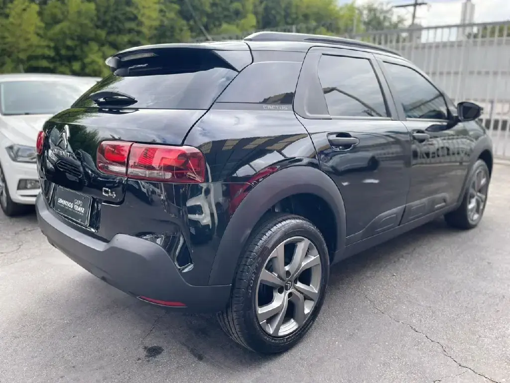 galeria C4 CACTUS