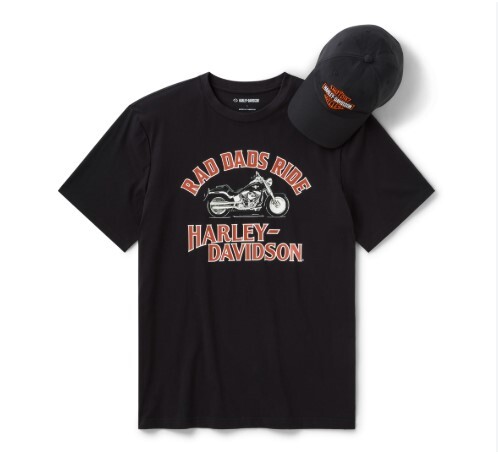 galeria CONJUNTO DE PRESENTE MASCULINO COM BONÉ E CAMISETA RAD DADS