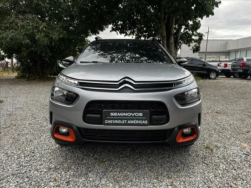 galeria C4 CACTUS
