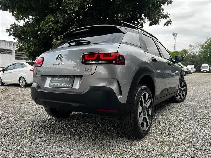 galeria C4 CACTUS
