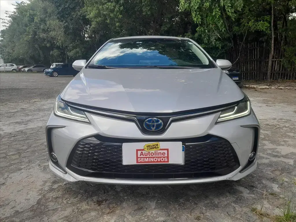 galeria COROLLA