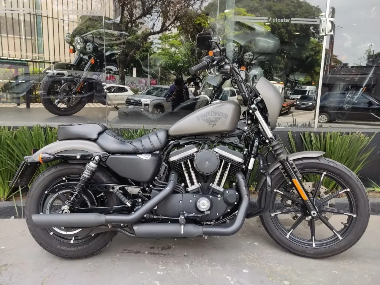 galeria Sportster XL 883