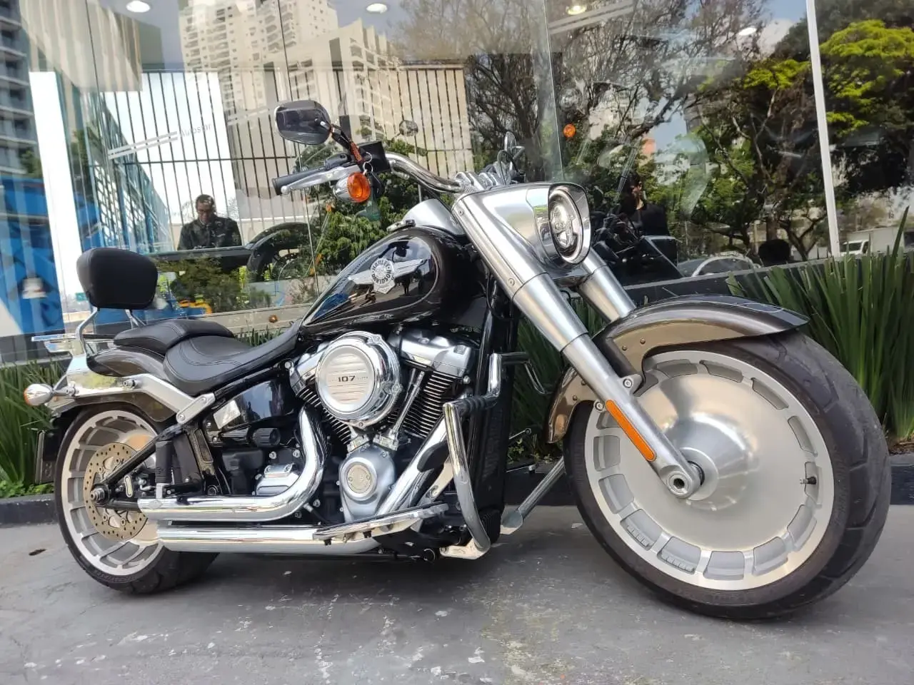 galeria FAT BOY FLFB
