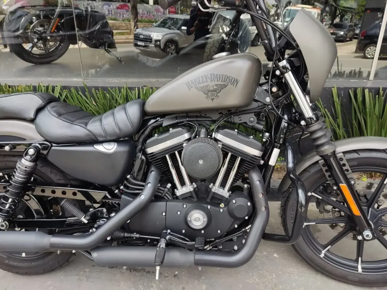 galeria Sportster XL 883