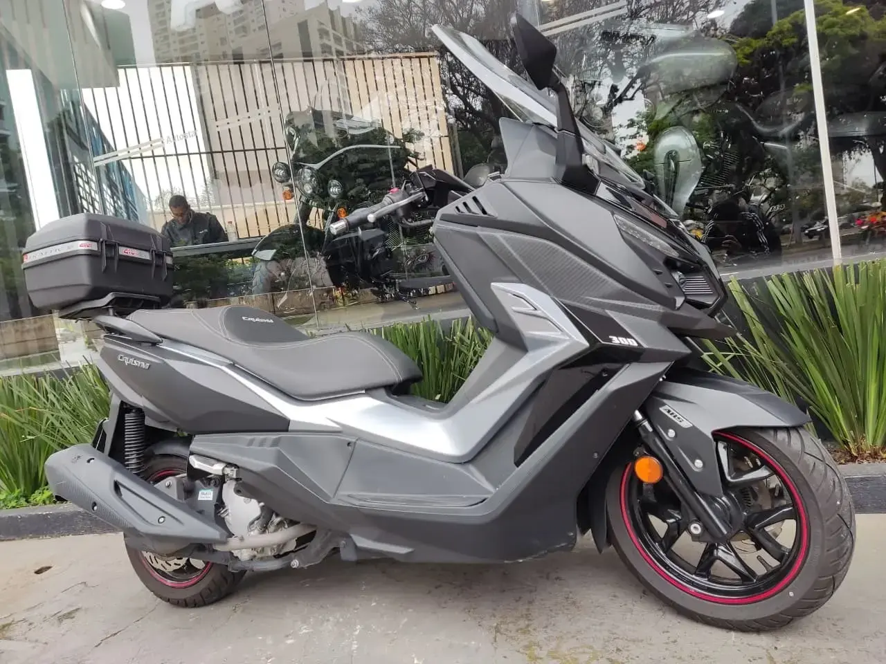 galeria Cruisym