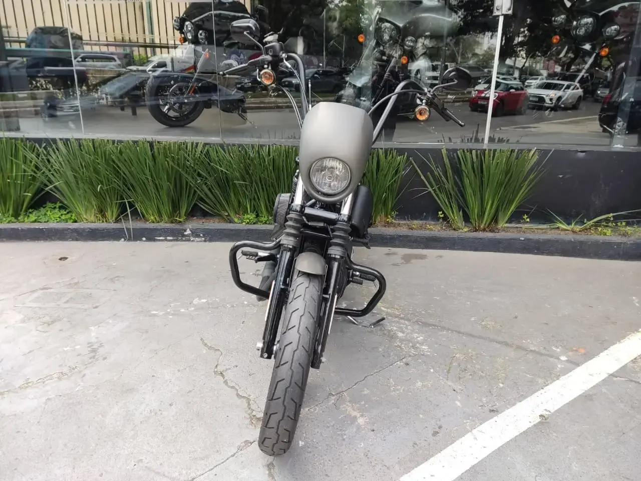 galeria Sportster XL 883