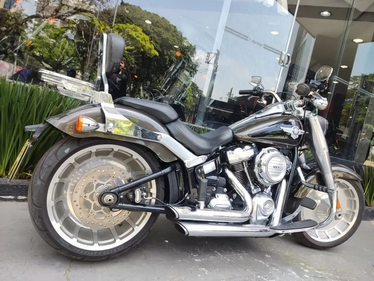 galeria FAT BOY FLFB