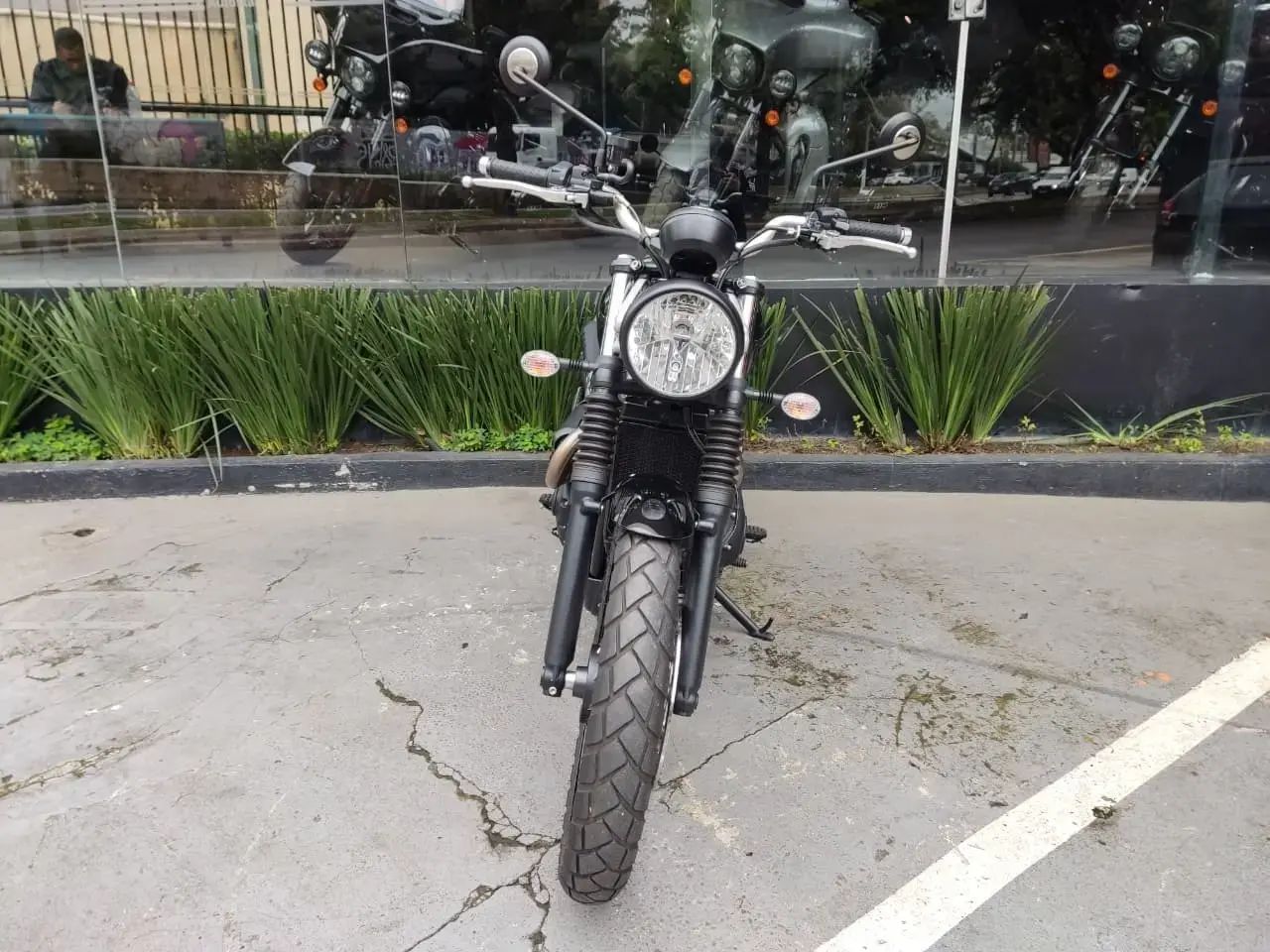 galeria Scrambler 900