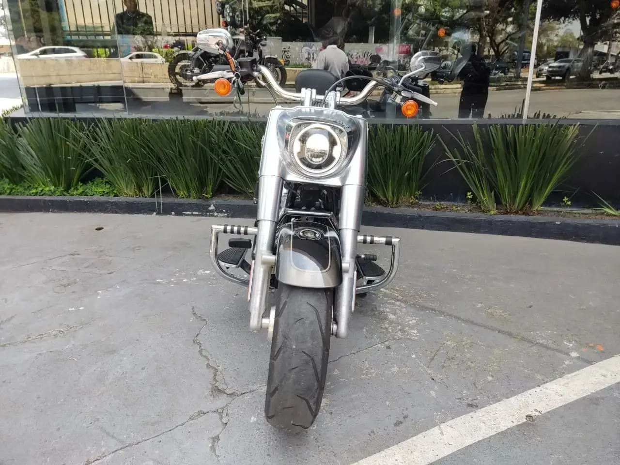galeria FAT BOY FLFB