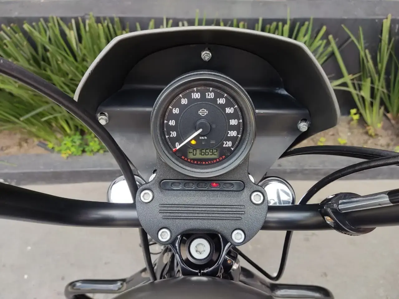 galeria Sportster XL 883