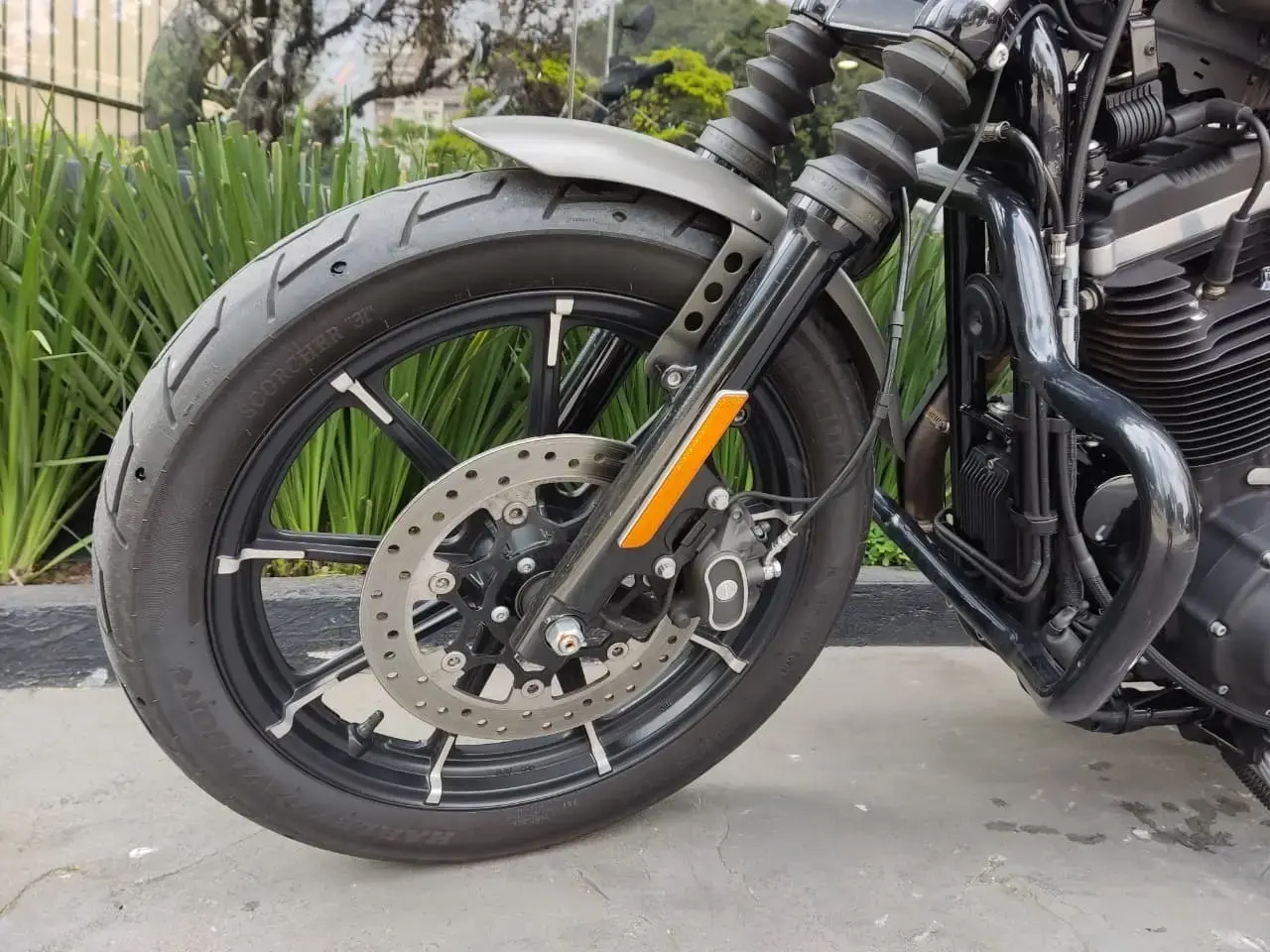 galeria Sportster XL 883