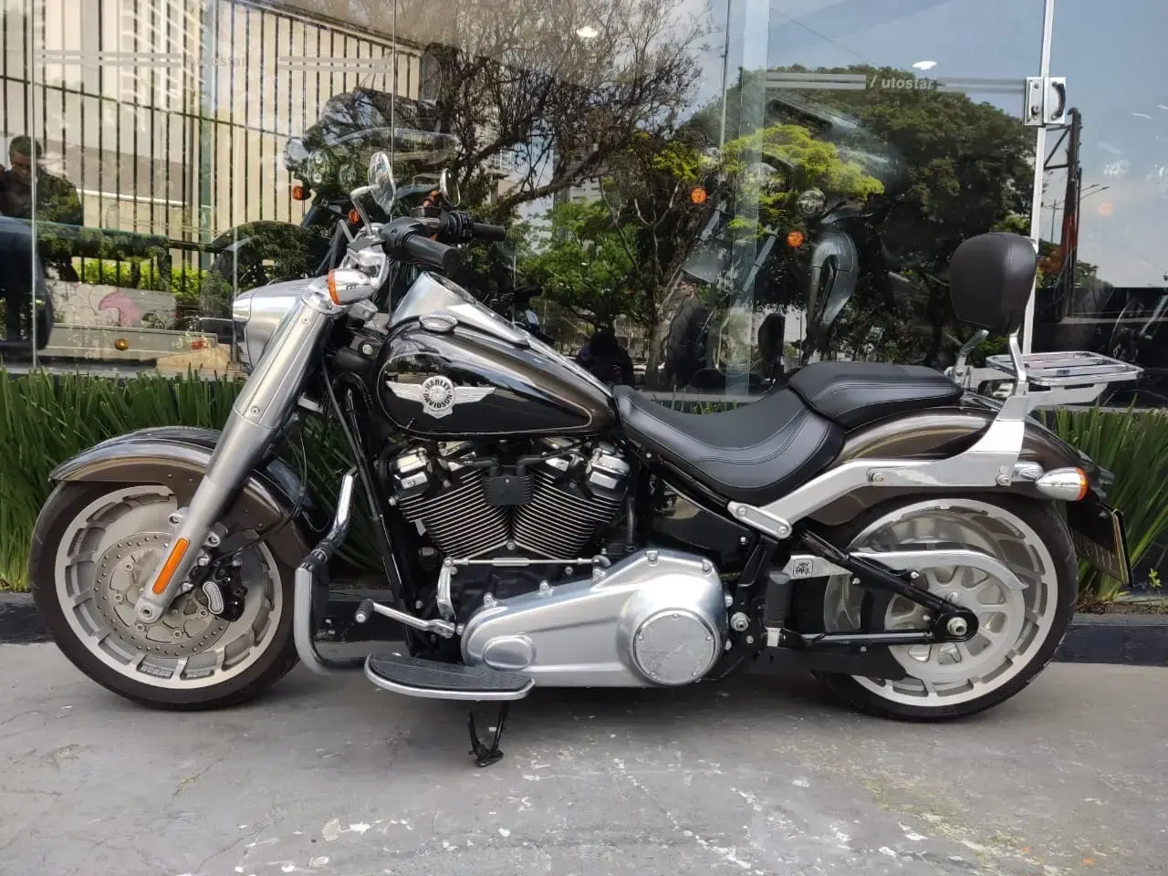 galeria FAT BOY FLFB
