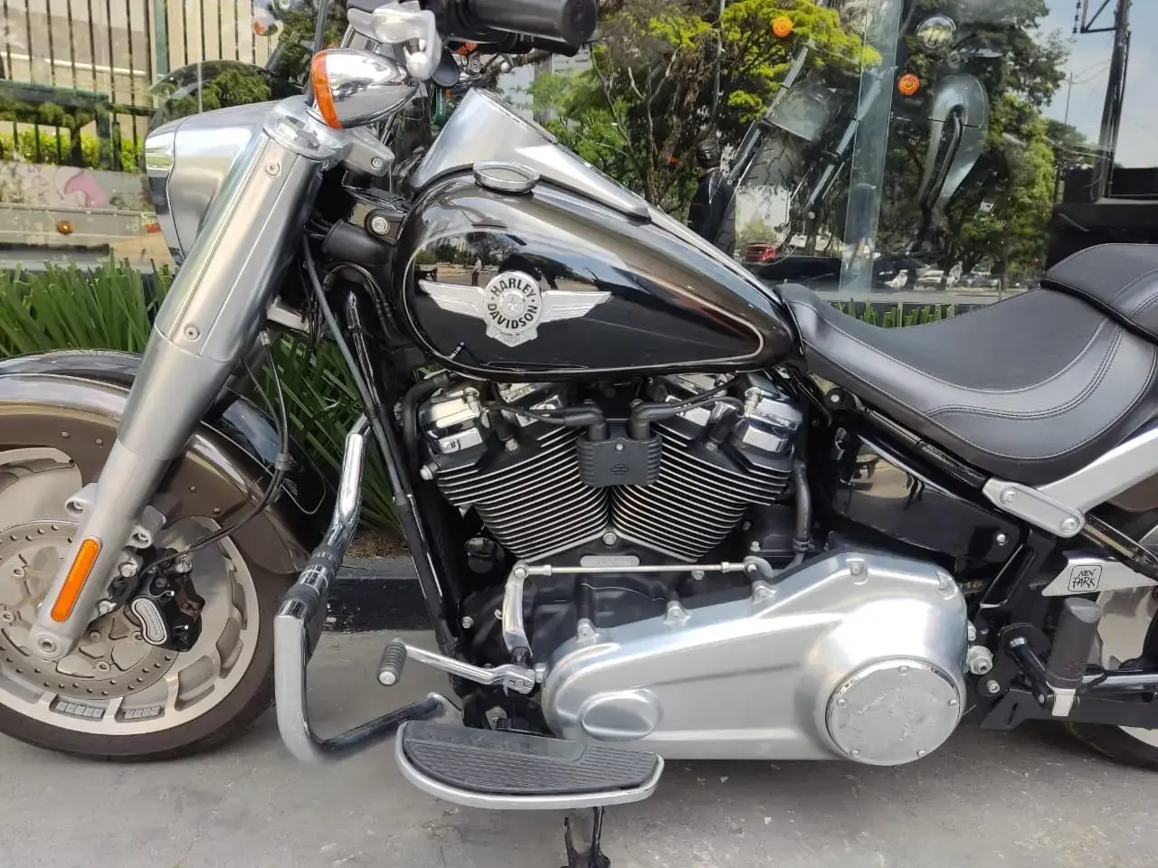 galeria FAT BOY FLFB