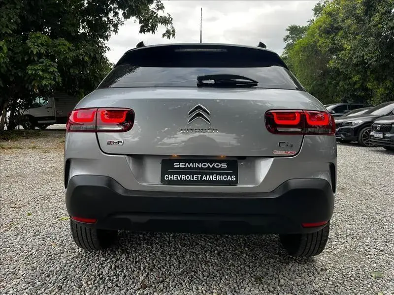 galeria C4 CACTUS