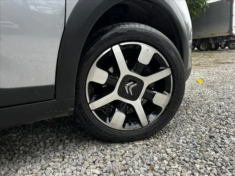 galeria C4 CACTUS