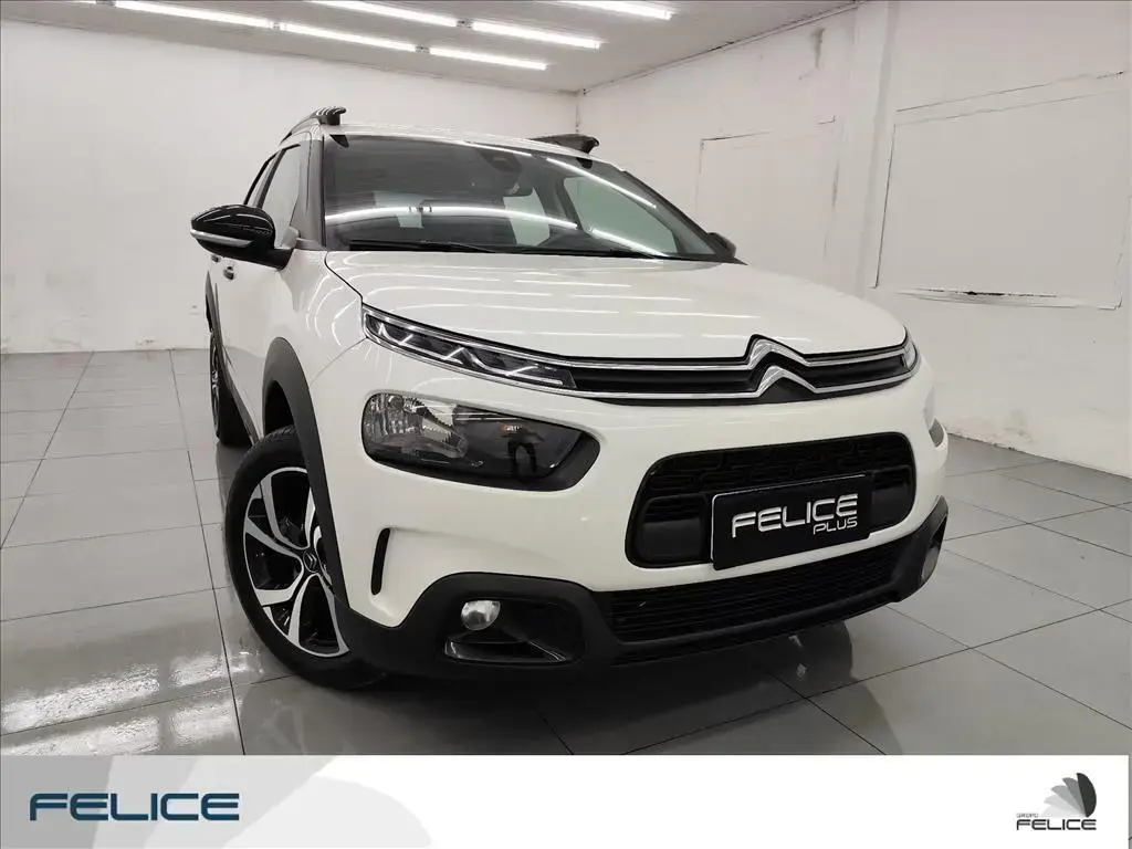 galeria C4 CACTUS